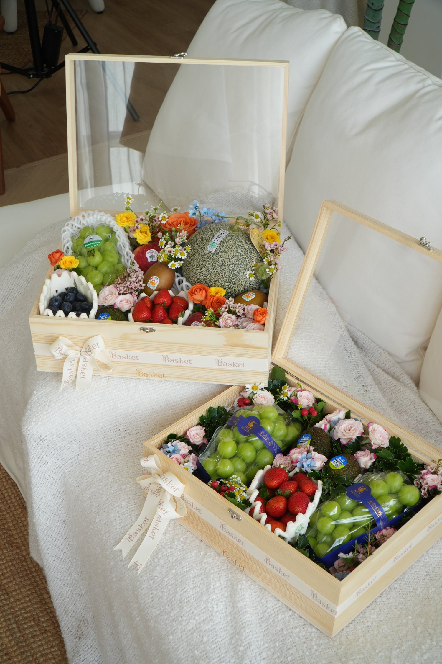 Wellness Collection