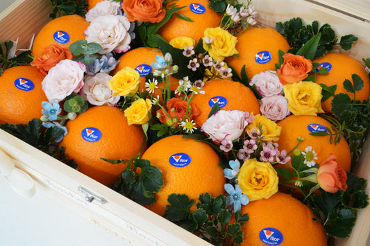 Sunburst Citrus (No.10)