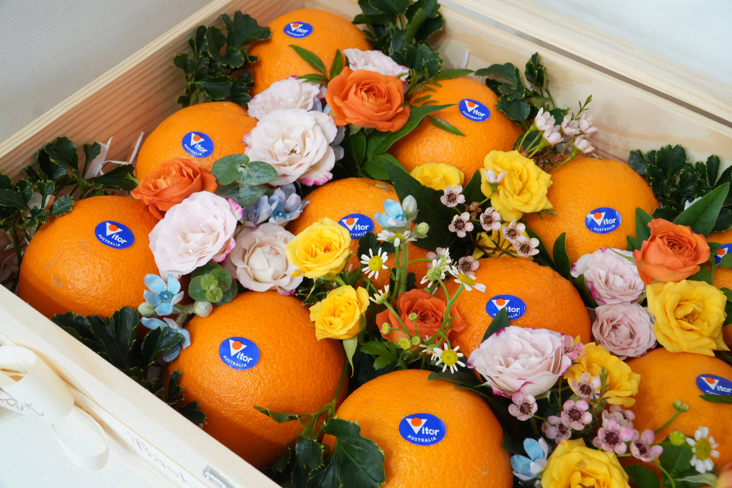 Sunburst Citrus (No.10)